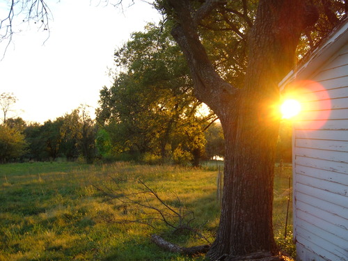 Barn sun