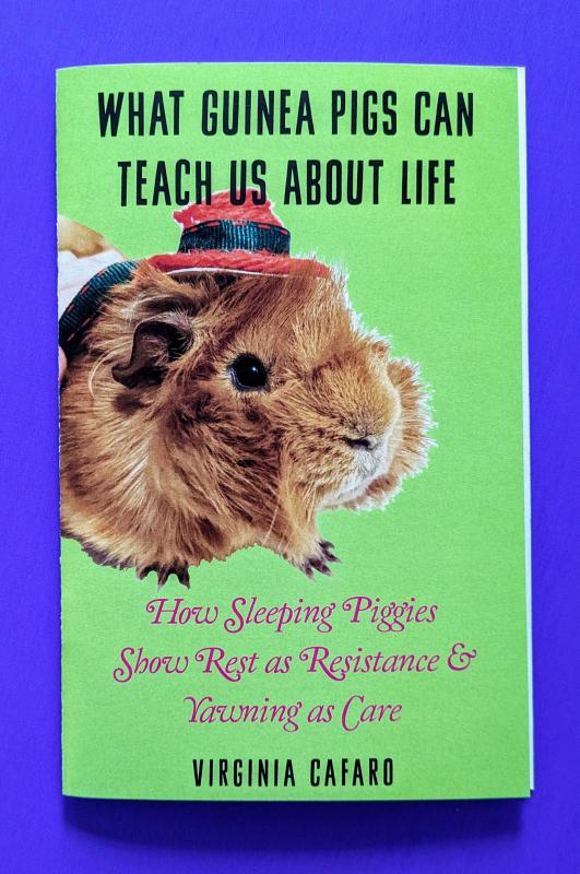 Light green cover featuring a photograph of an orange guinea pig, with pink and black title text.