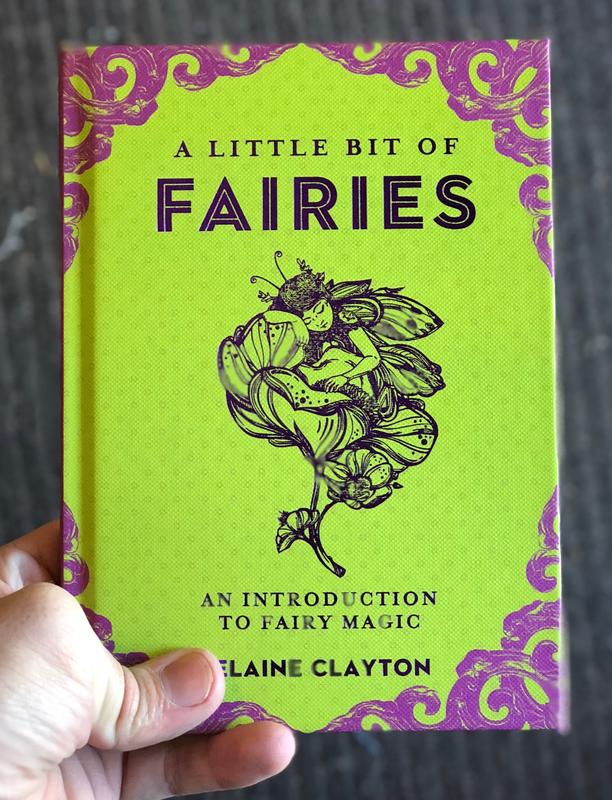 Cover of A Little Bit of Fairies, which features a drawing of a fairy napping in a flower