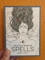 The Little Book Of Spells: A Beginner's Guide to White Witchcraft (silver/white)
