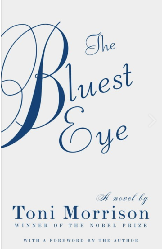 The title of the novel written in elegant blue text