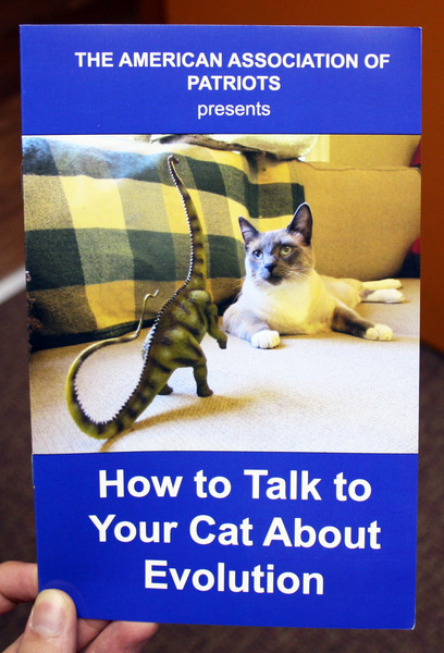 How to Talk to Your Cat About Evolution zine cover
