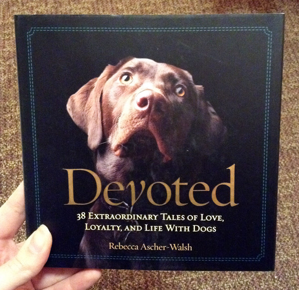 Devoted by Rebecca Ascher-Walsh