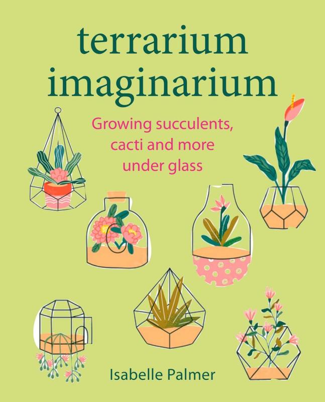 various illustrations of little succulents in glass terrariums, on a bright green background