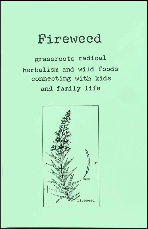 Fireweed #1: A Zine of Grassroots Radical Herbalism and Wild Foods Connecting With Kids and Family Life image #2