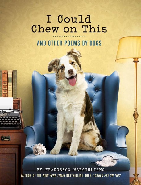 A dog sitting on a chewed-on chair, looking at the camera with his head tilted. 