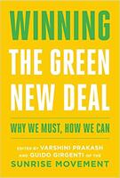 Winning the Green New Deal: Why We Must, How We Can