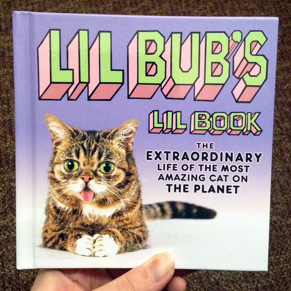 Gradient purple book cover featuring pink and green illustrated text, featuring photograph of Lil Bub the cat.