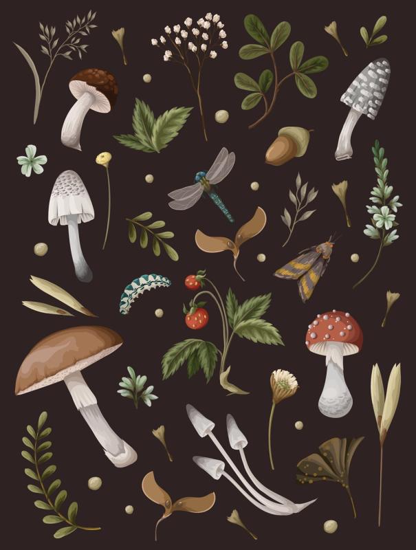 illustrations of various mushrooms and flora against a black background