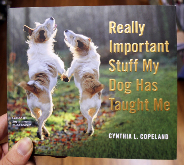 really important stuff my dog has taught me by cynthia copeland