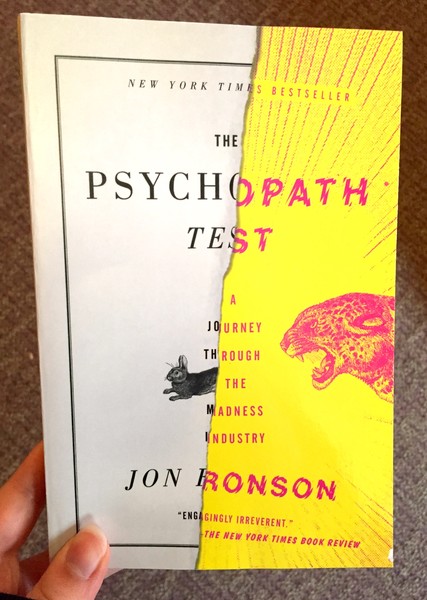 Psychopath Test: A Journey Through The Madness Industry, The
