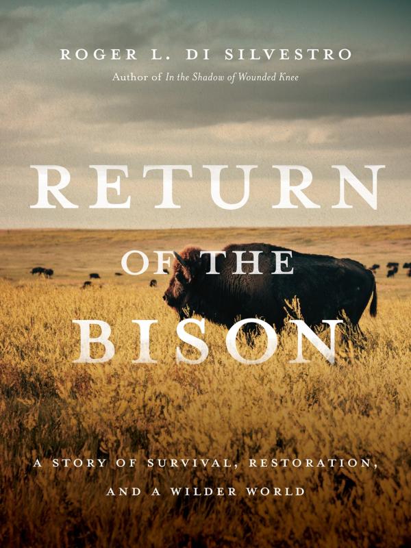 Background photo of a bison grazing on the plains, with more bison off in the distance