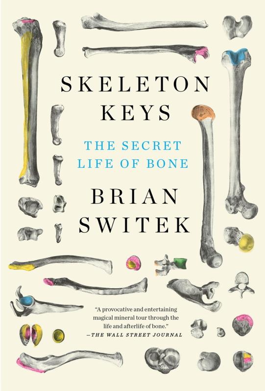 various bones arranged around the cover