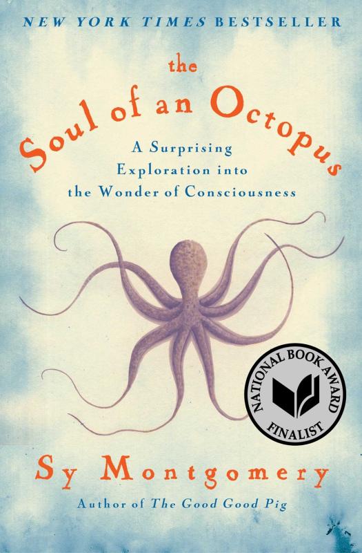 an illustrated octopus