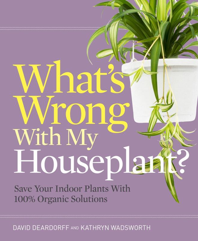 Purple cover with image of spider plant next to the title.