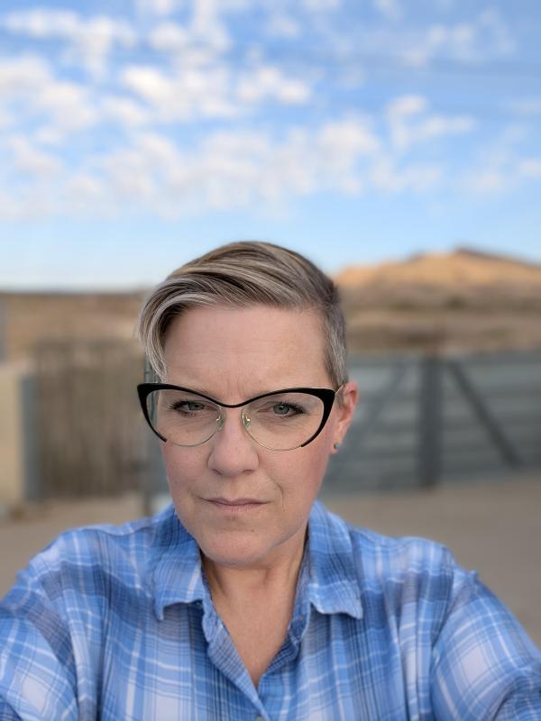 Artist image for Mary Beth Chapman