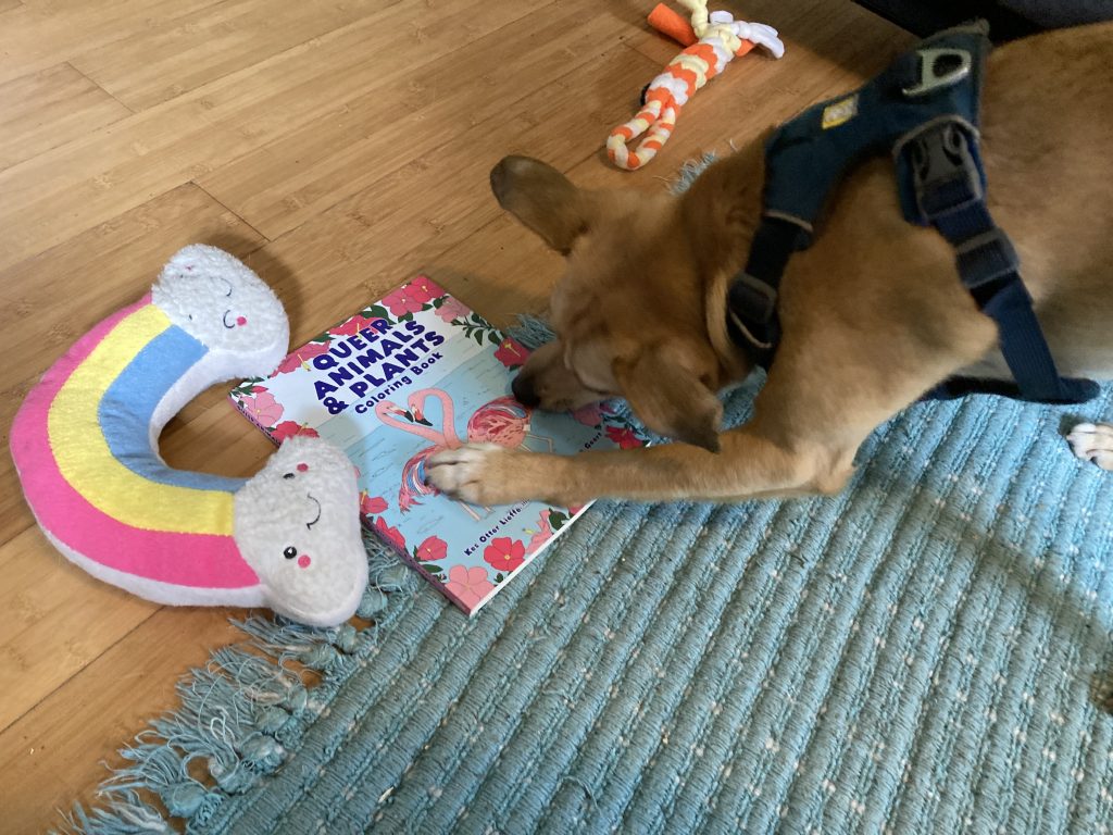 a small dog tries to bite a copy of the coloring book