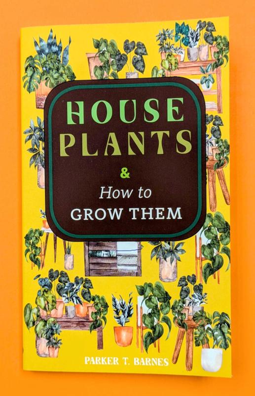 Houseplants & How to Grow Them