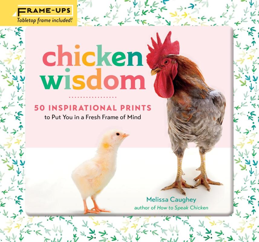 chick and a rooster