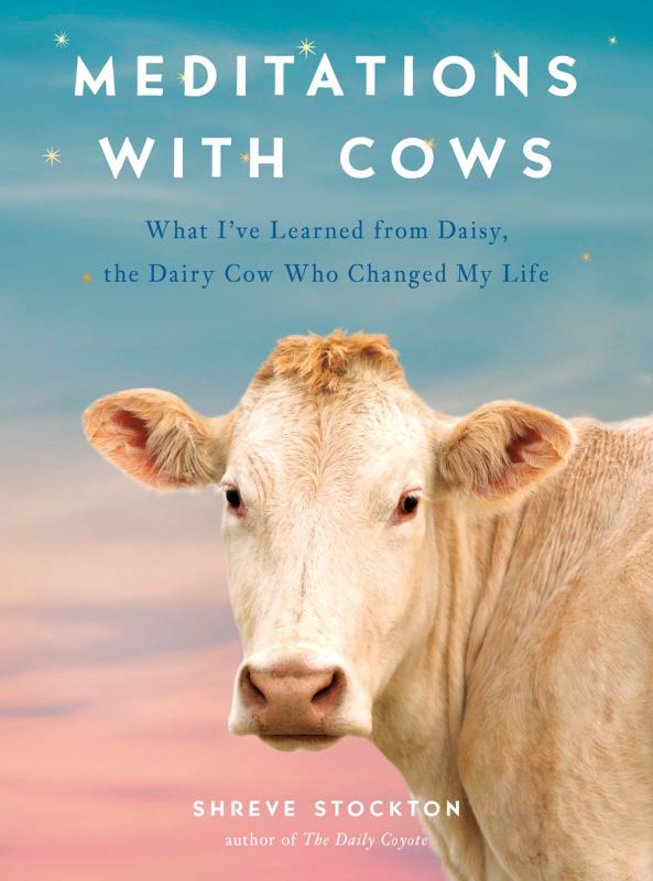 Meditations with Cows: What I've Learned from Daisy, the Dairy Cow Who Changed My Life