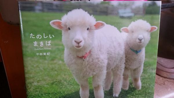 Cute Farm Animals, Miki Hirabayashi
