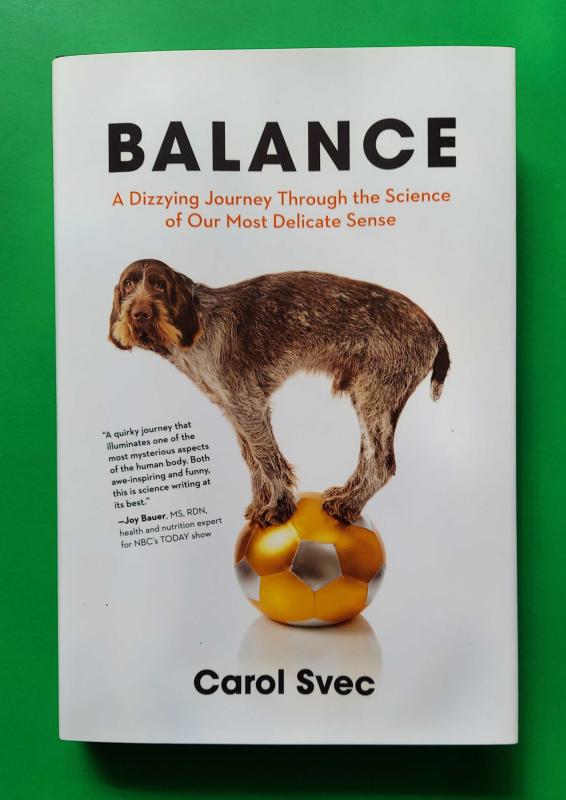 A dog balances on a ball that just a bit too small for it.