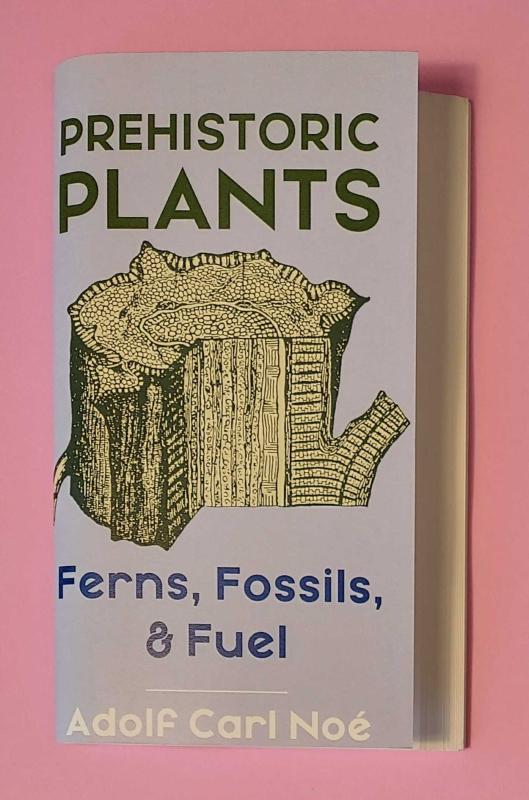 Prehistoric Plants: Ferns, Fossils, & Fuel