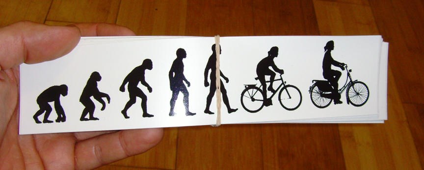 Sticker #300: Evolution Comfort image #1