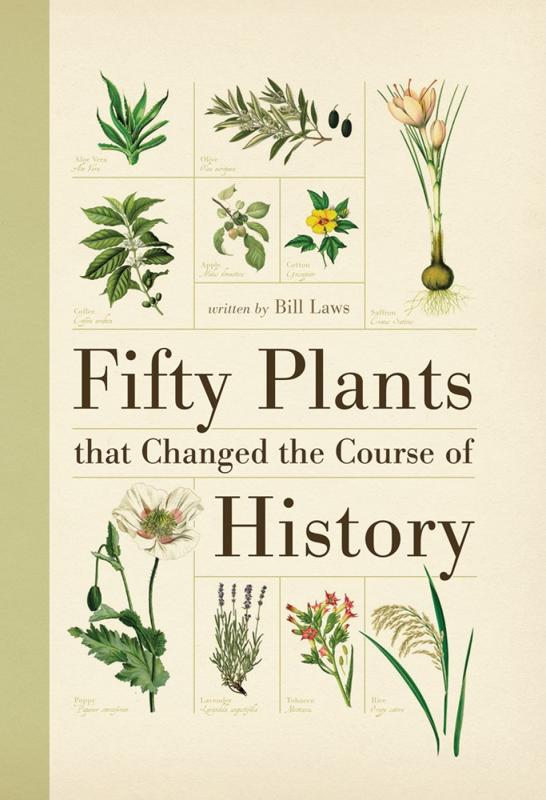 various scientific illustrations of plants