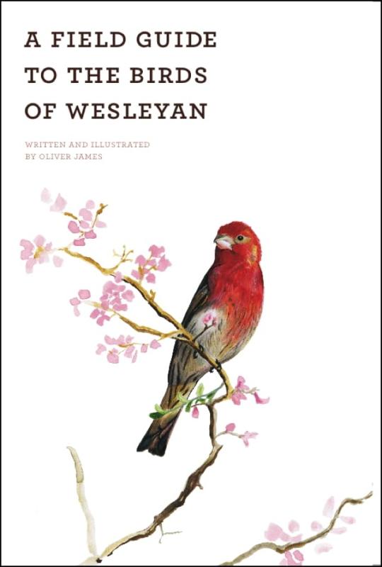 White book cover with small title text in upper left corner, with an illustration of a red bird on a branch with pink flowers.