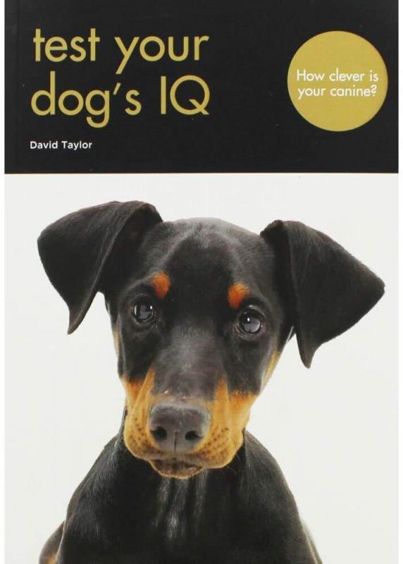 Cover with image of an inquisitive dog