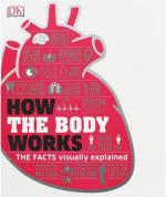 How the Body Works: The Facts Simply Explained