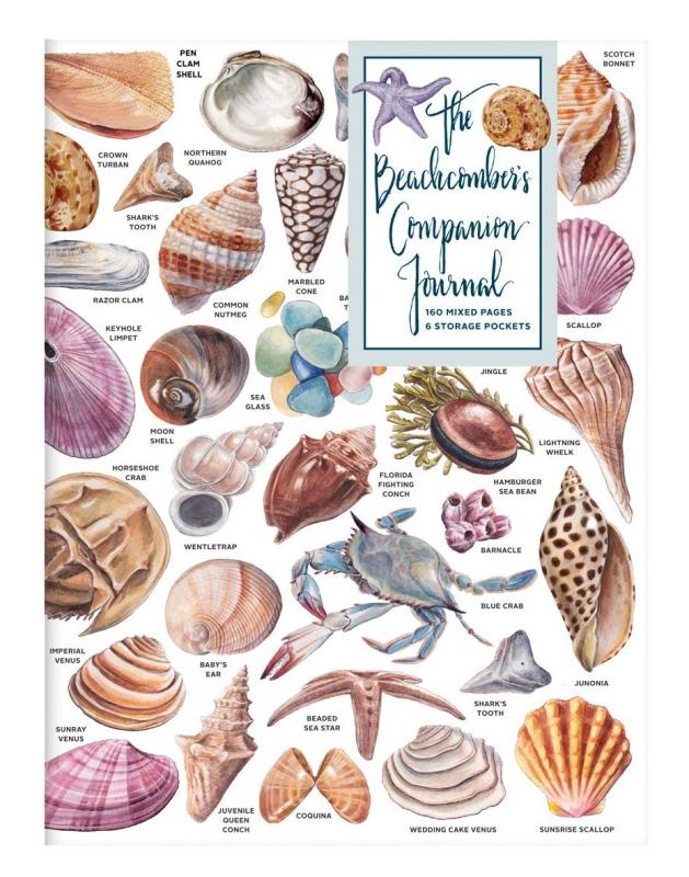 Cover is white with several images of different types of shells that are all labeled with small black text.