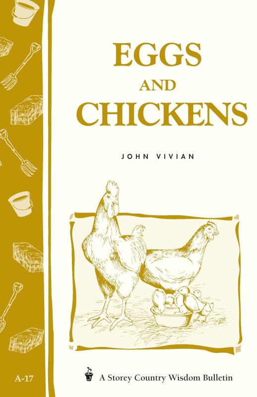 Yellow line art of a chicken and a rooster and chicks on hay, over a white background