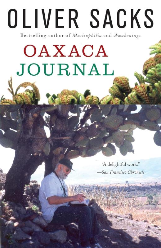 Man sits under a nopal cactus