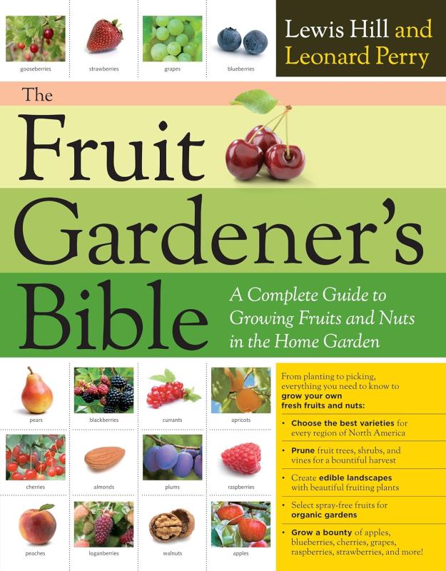 Colorful horizontal lines with cherries and the title text between a row up top and a collage below of different fruits