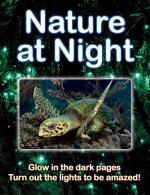 Nature At Night