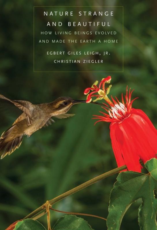 Cover with photo of a hummingbird and flower