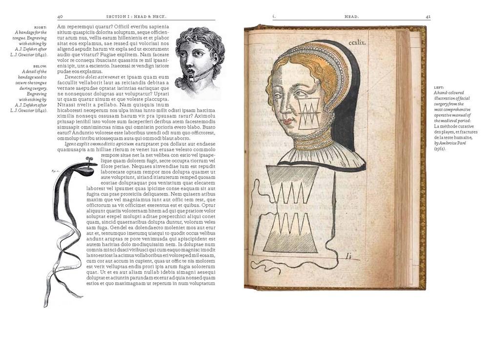 Crucial Interventions: An Illustrated Treatise on the Principles & Practice of Nineteenth-Century Surgery image #2