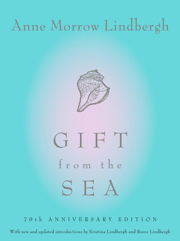 Line art of a conch shell over a blue white gradient background