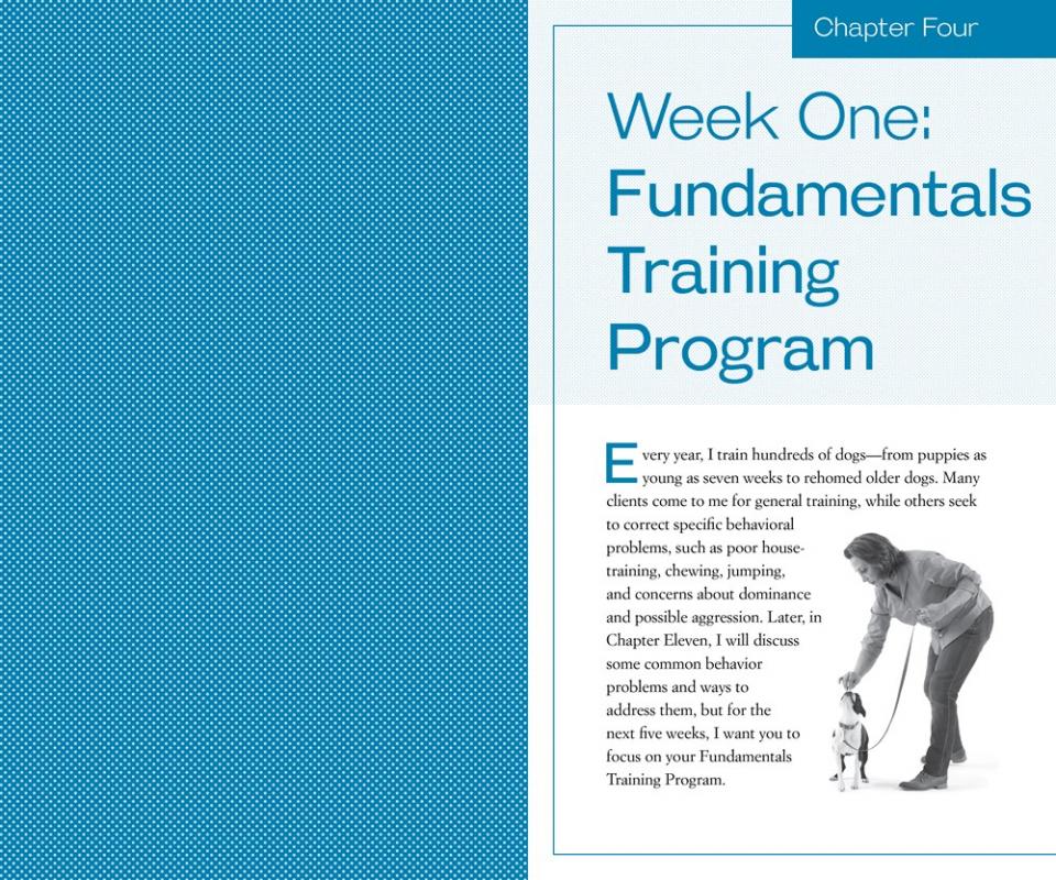 Training the Best Dog Ever: A 5-Week Program Using the Power of Positive Reinforcement image #2