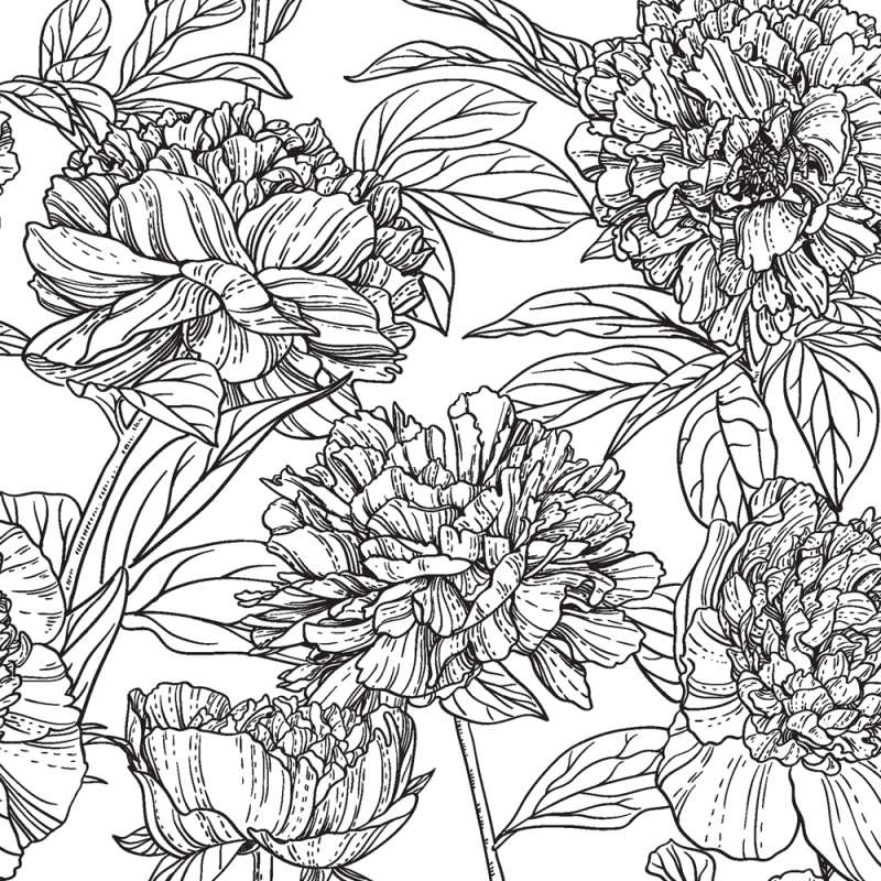 Meditations on Tea: A Coloring Book to Soothe the Soul image #2