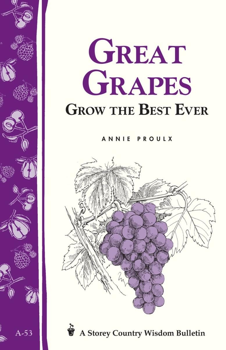 white cover and purple spine with illustration of grapes on the vine