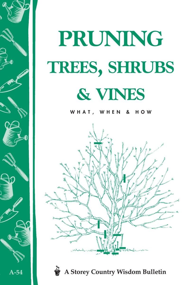 white cover with green spine and illustration of a tree
