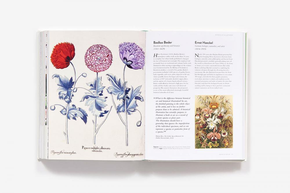 The Botanical Bible: Plants, Flowers, Art, Recipes & Other Home Uses image #1