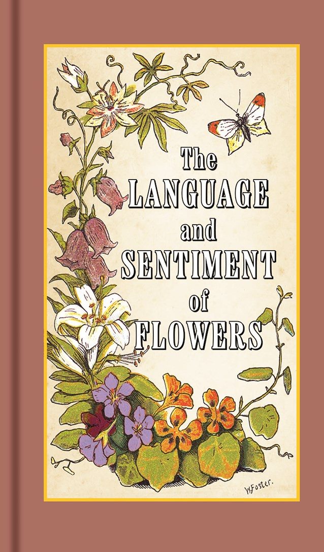 Collection of flowers and a butterfly over a beige background