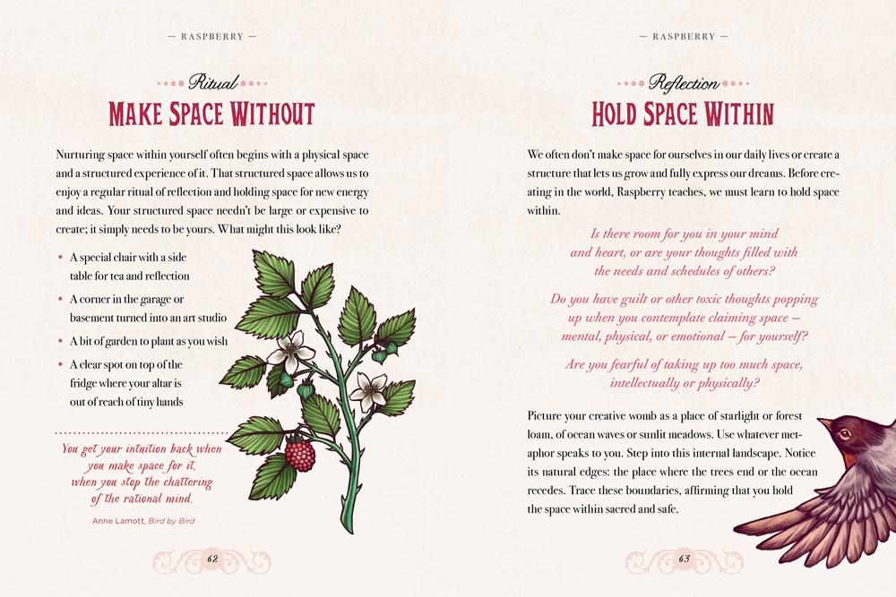 The Illustrated Herbiary: Guidance and Rituals from 36 Bewitching Botanicals image #2