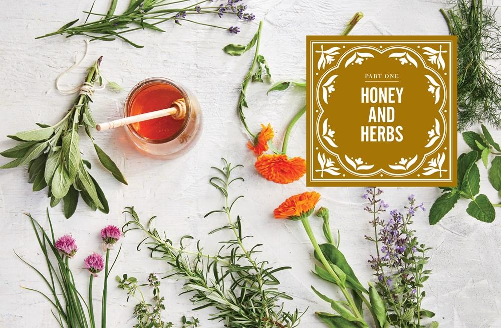 Sweet Remedies: Healing Herbal Honeys image #5