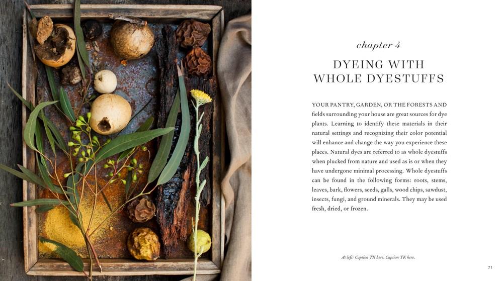 Modern Natural Dyer: A Comprehensive Guide to Dyeing Silk, Wool, Linen and Cotton at Home image #3