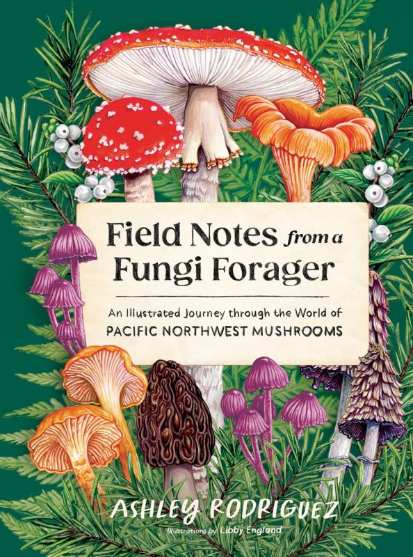 illustration of fungi, ferns, and fir needles